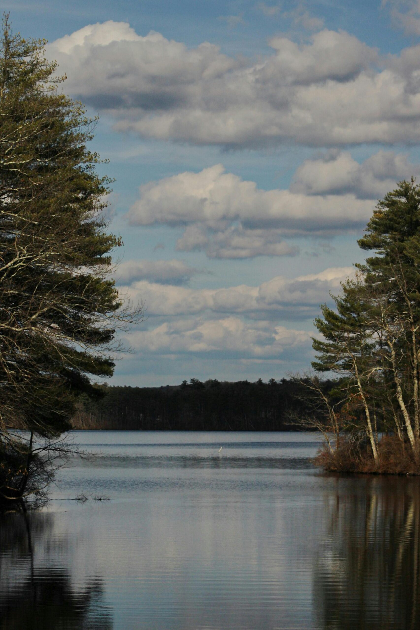 Behavioral Health Resources in Danvers, MA