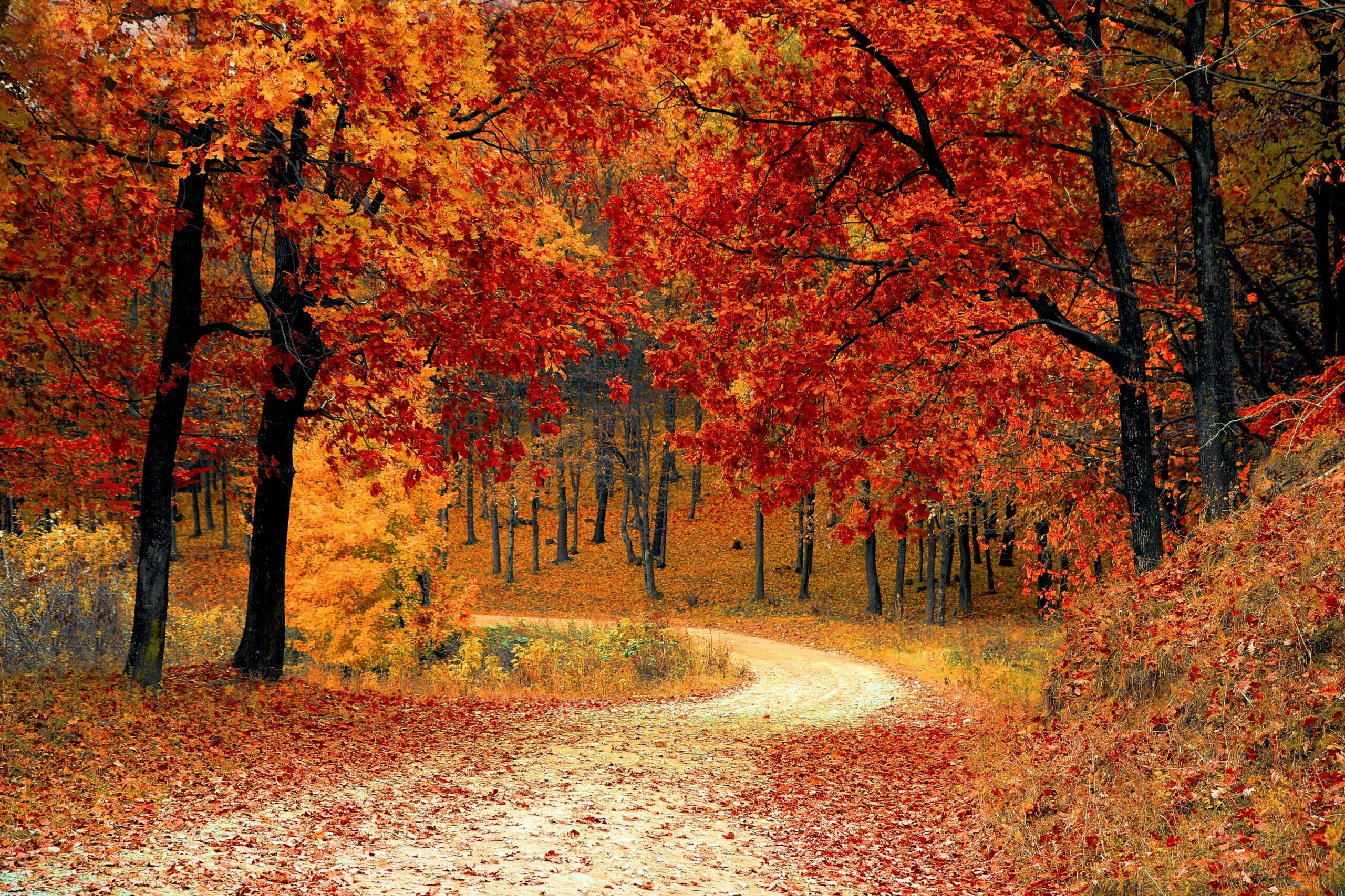 behavioral health resources in amesbury ma