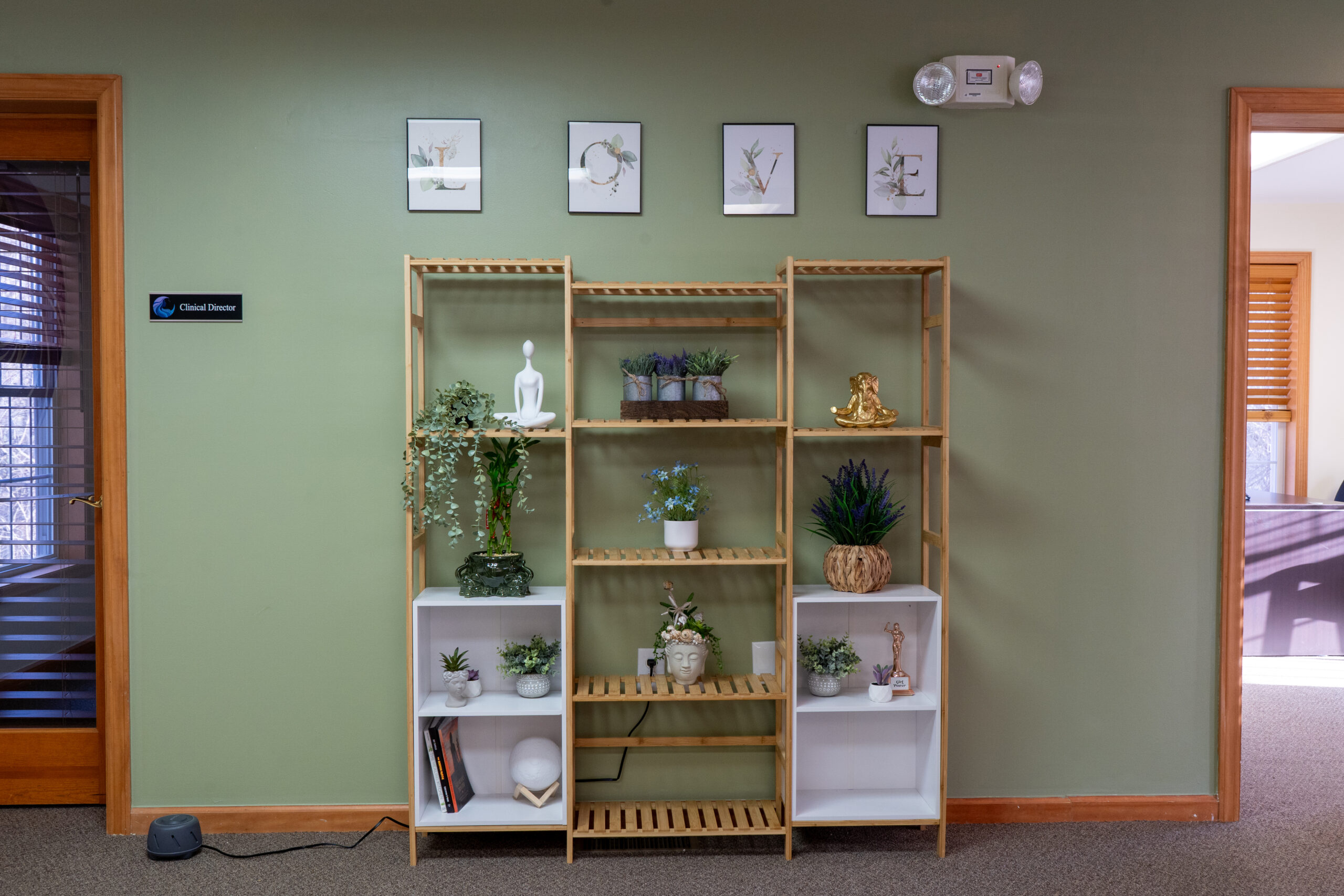 A drug addiction treatment and mental health facility that's catered towards women.