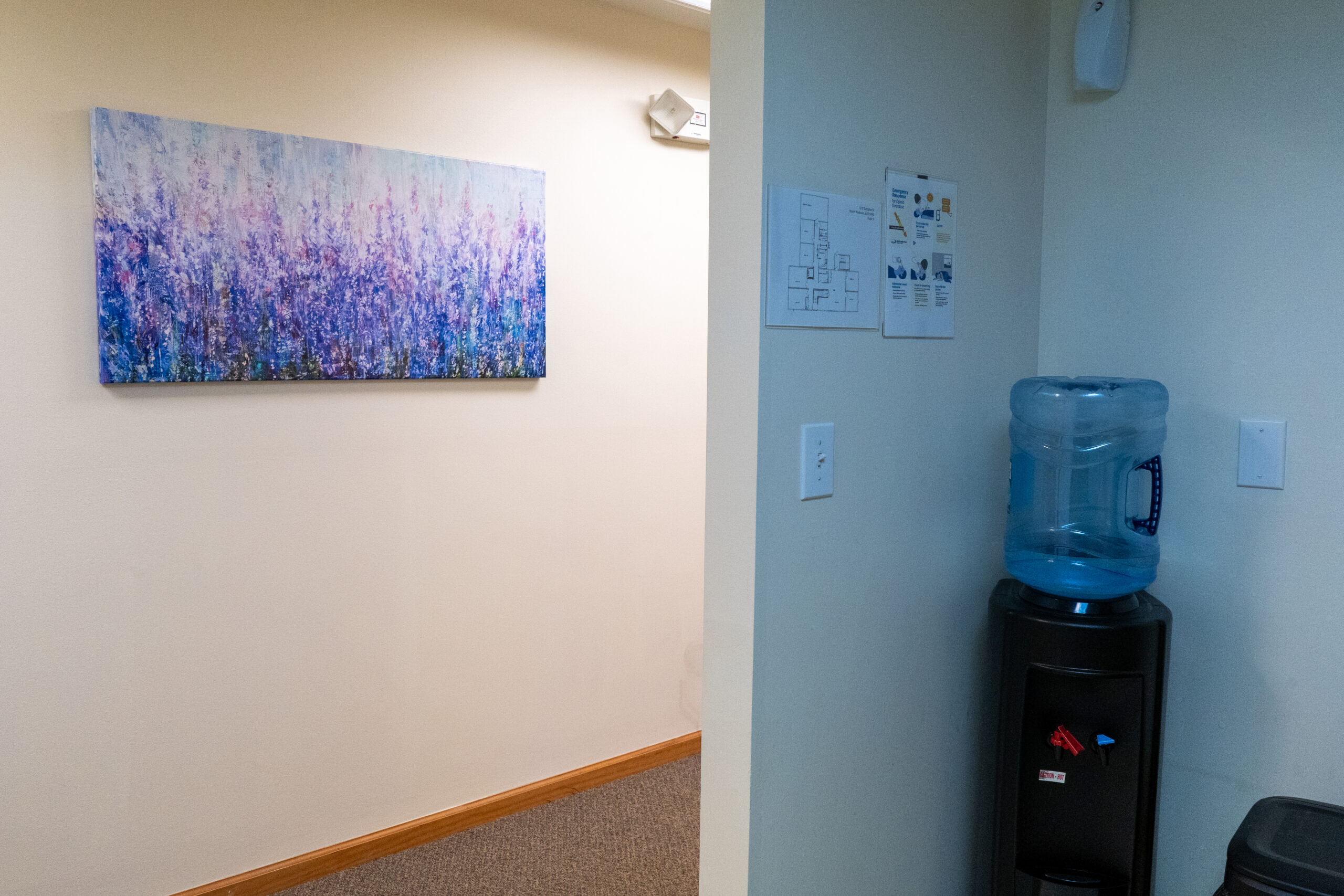 A drug addiction treatment and mental health facility that's catered towards women.